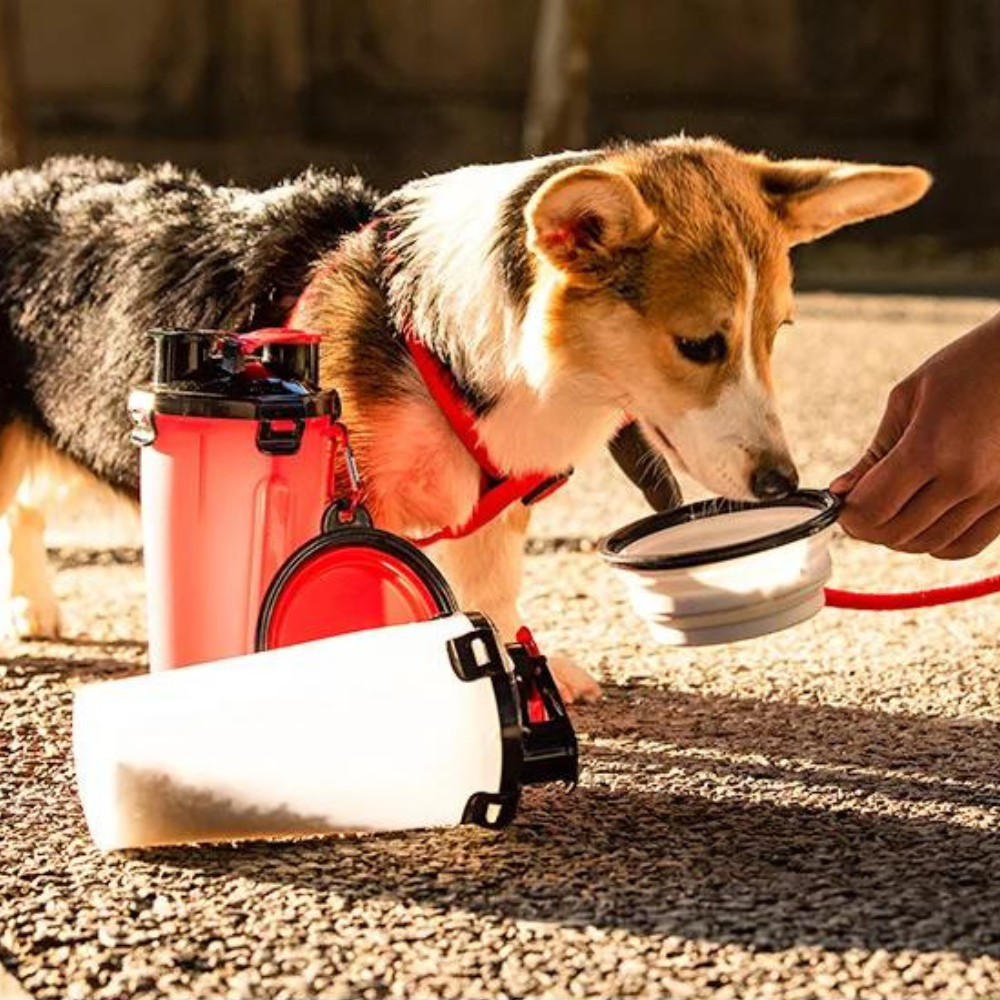 2 in 1 Travel Dog Food & Water Bottle With Two Collapsible Bowls