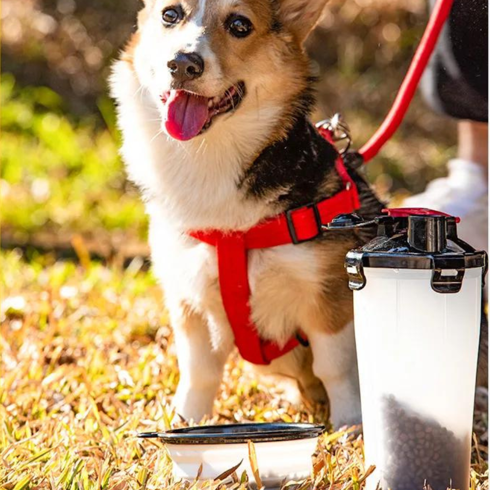 2 in 1 Travel Dog Food & Water Bottle With Two Collapsible Bowls