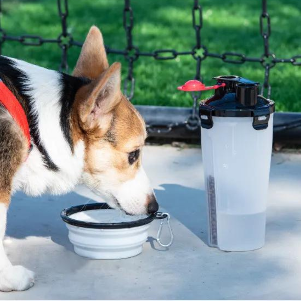 2 in 1 Travel Dog Food & Water Bottle With Two Collapsible Bowls