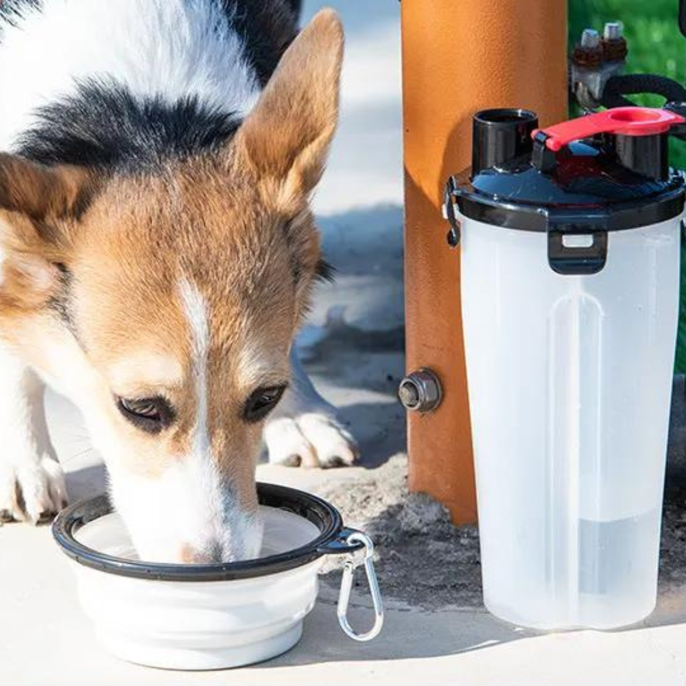 2 in 1 Travel Dog Food & Water Bottle With Two Collapsible Bowls