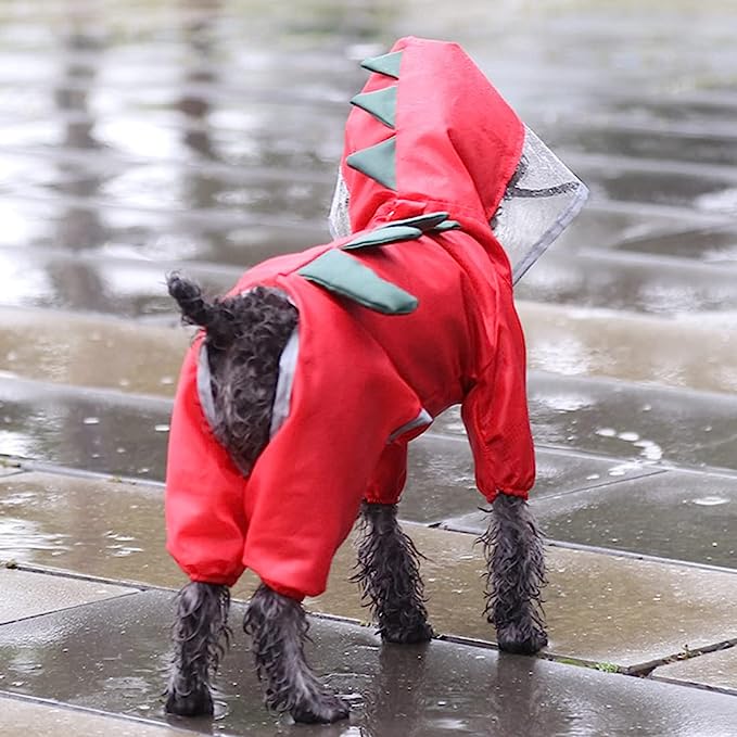 Transparent Hooded Dinosaur Dog Raincoat