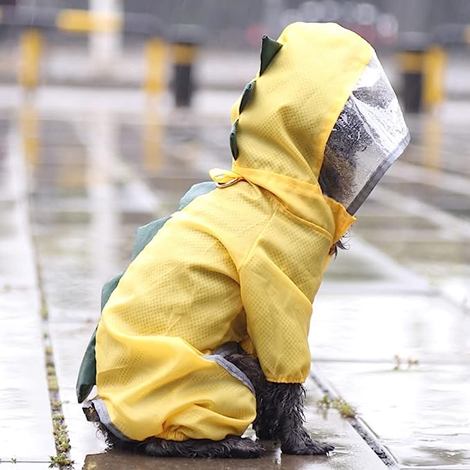 Transparent Hooded Dinosaur Dog Raincoat