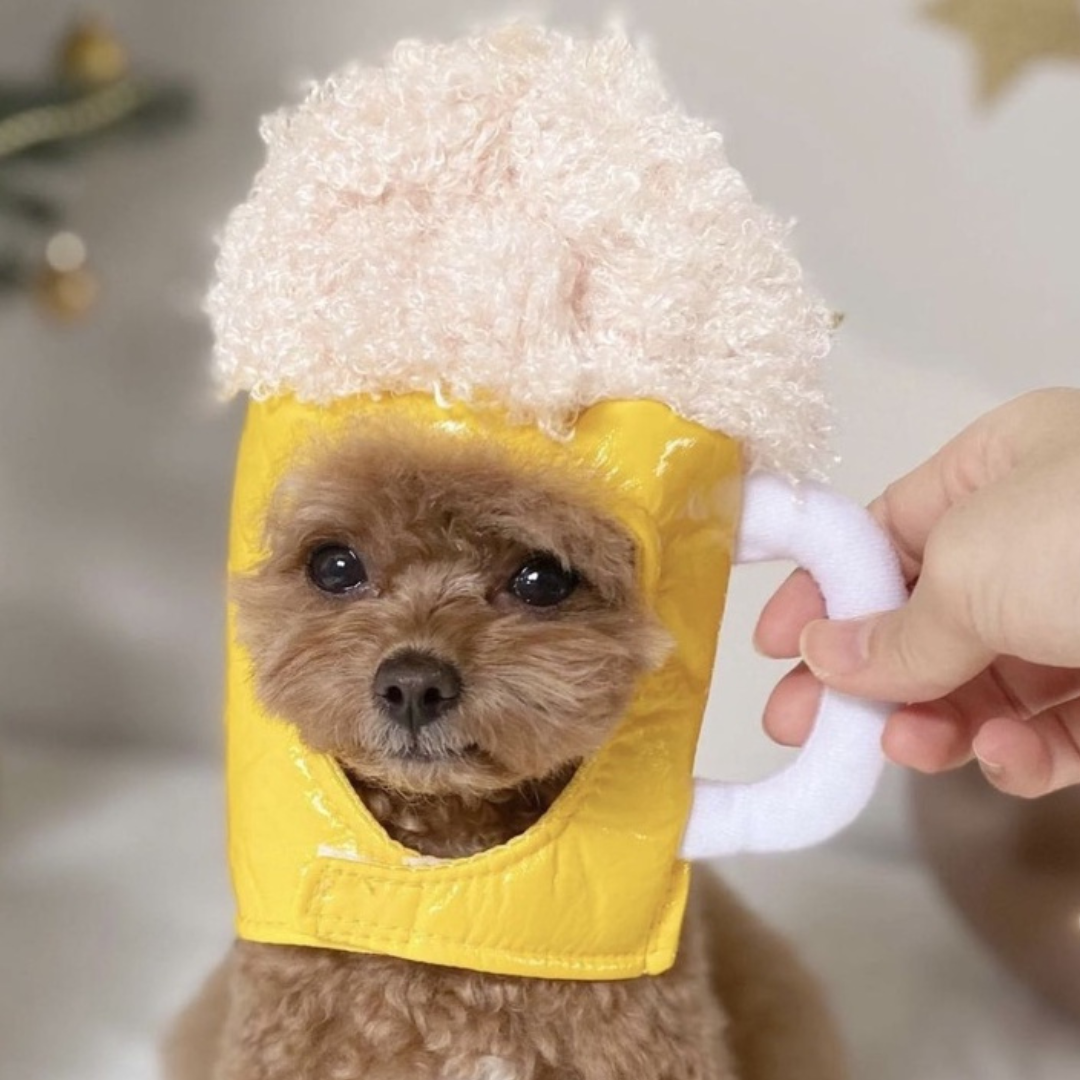 Beer Mug Dog Hat