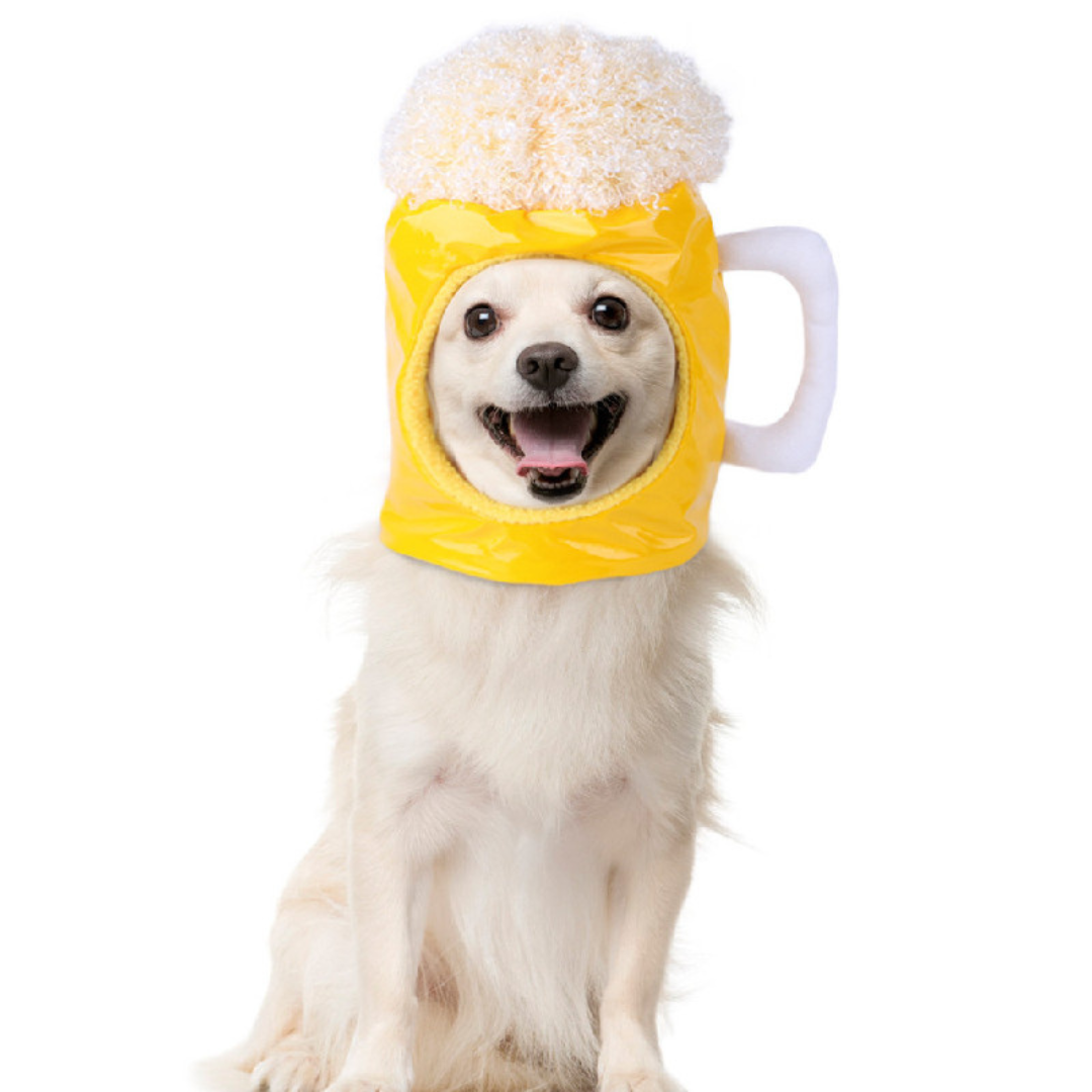 Beer Mug Dog Hat