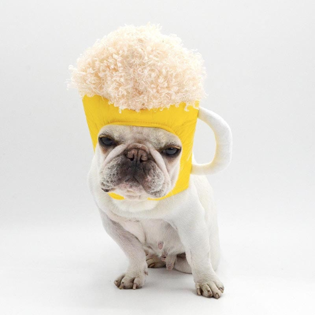 Beer Mug Dog Hat