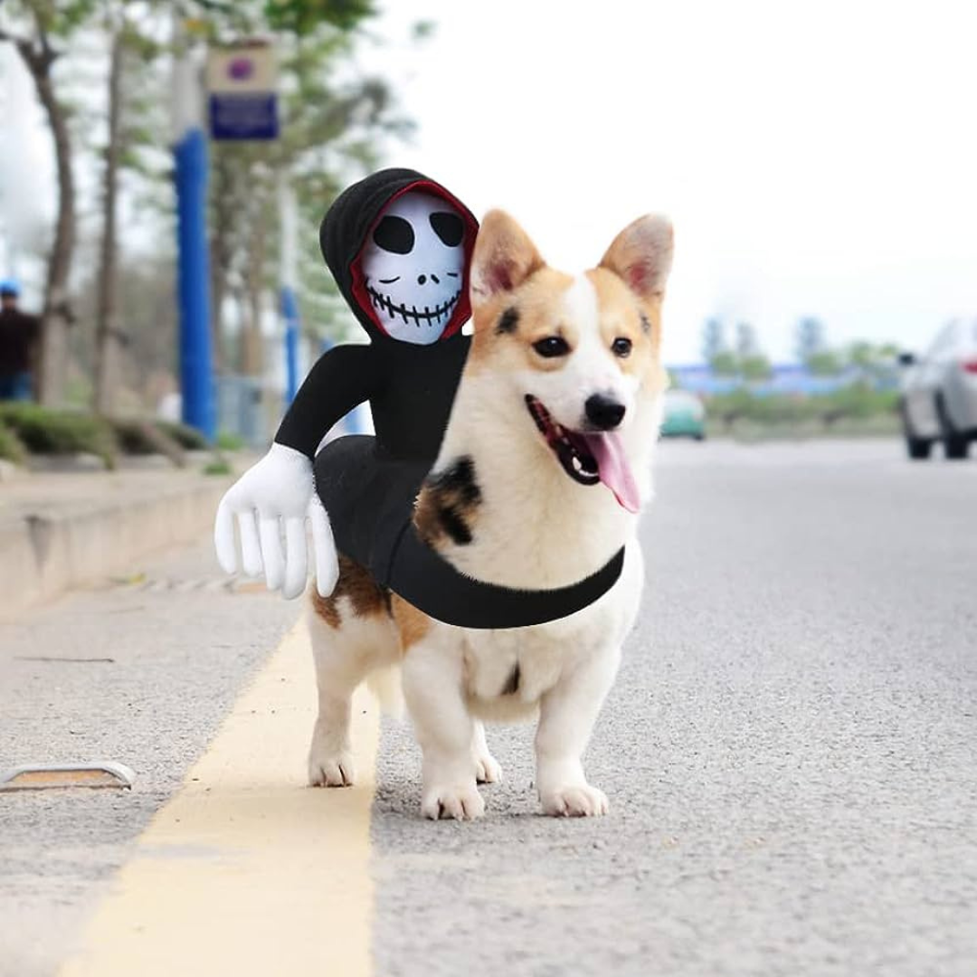 Grim Reaper Rider Dog Costume