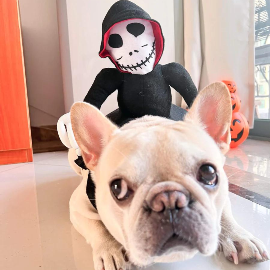 Grim Reaper Rider Dog Costume