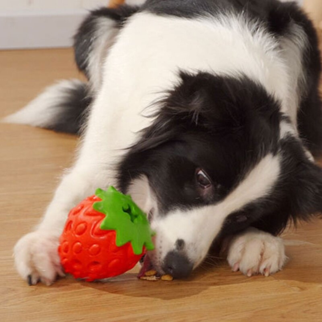 Treat Dispensing Strawberry Dog Chew Toy