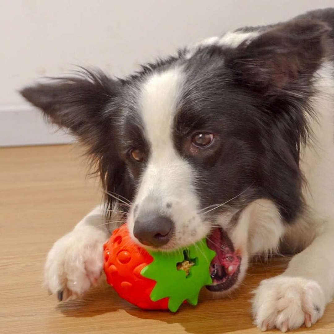 Treat Dispensing Strawberry Dog Chew Toy