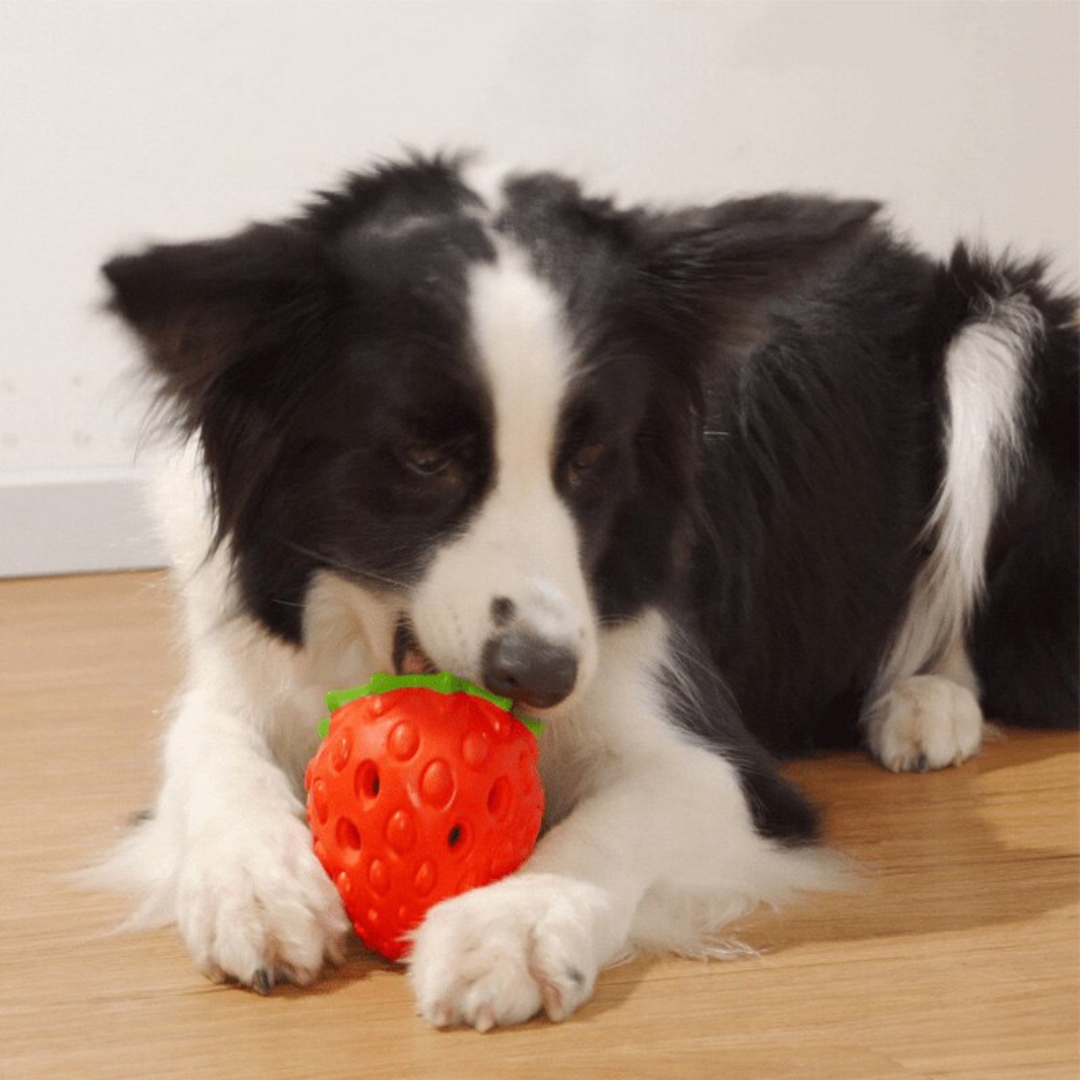 Treat Dispensing Strawberry Dog Chew Toy