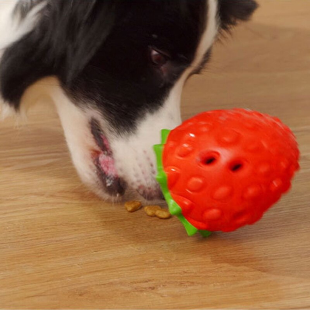 Treat Dispensing Strawberry Dog Chew Toy