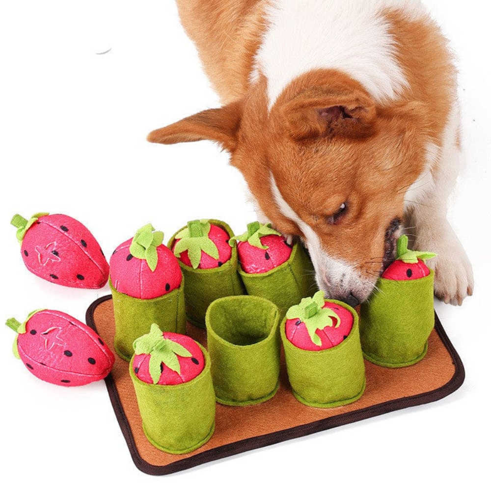 Plush Strawberry Harvest Puzzle Snuffle Mat