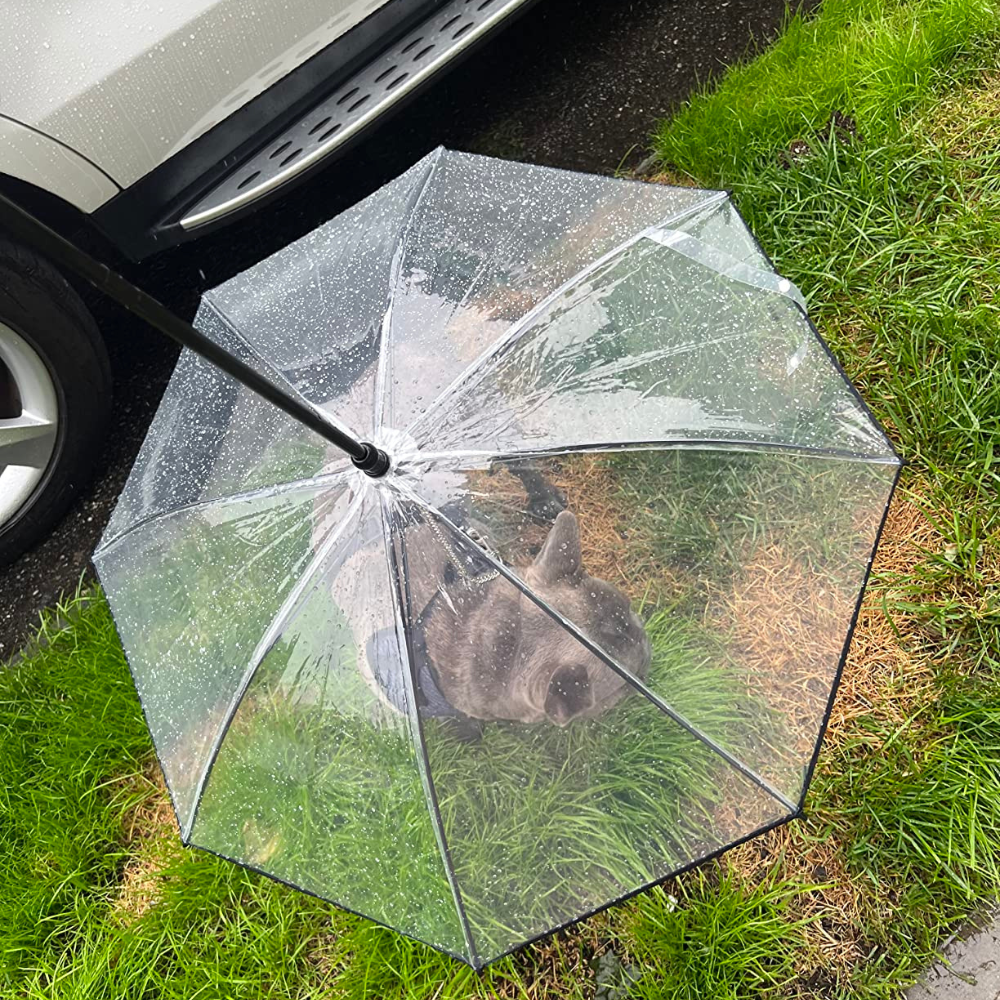 Dog Leash Umbrella