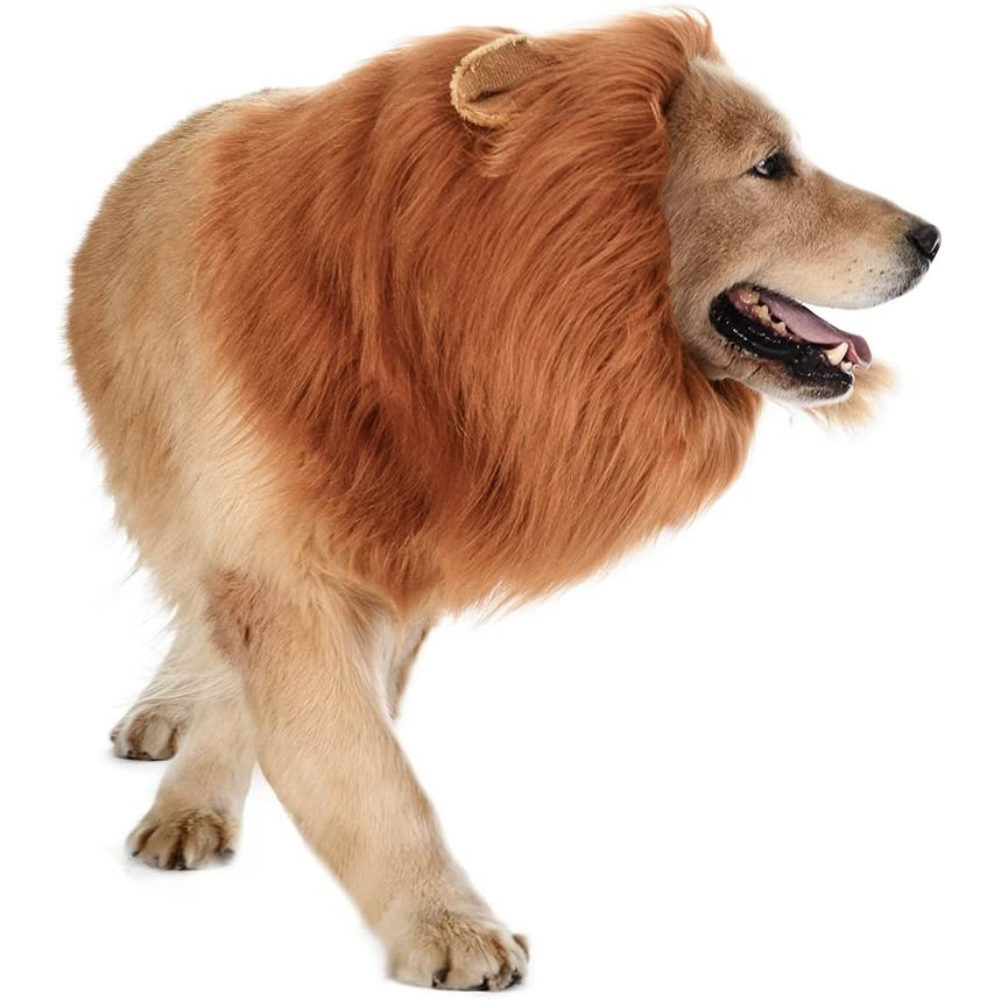 Lion's Mane Dog Costume