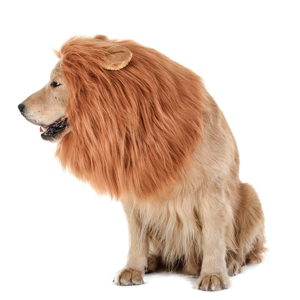 Lion's Mane Dog Costume