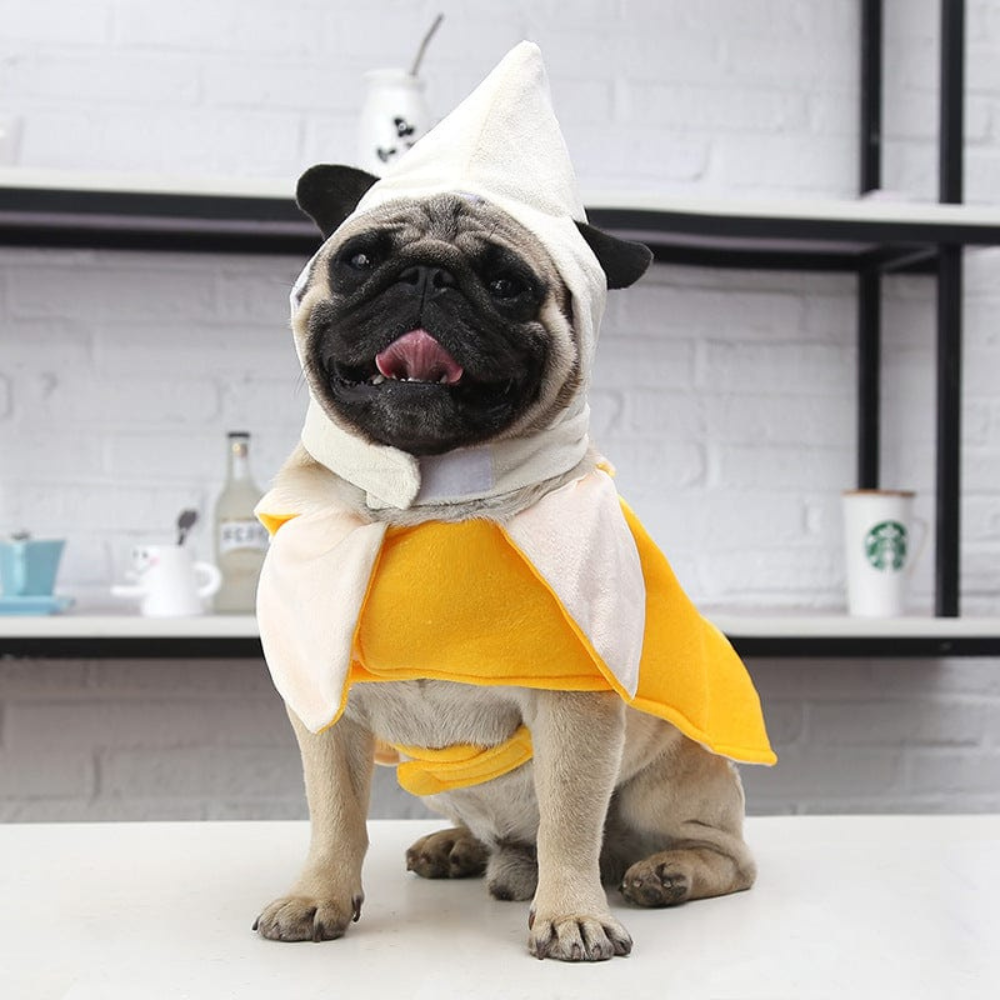 Banana Dog Costume