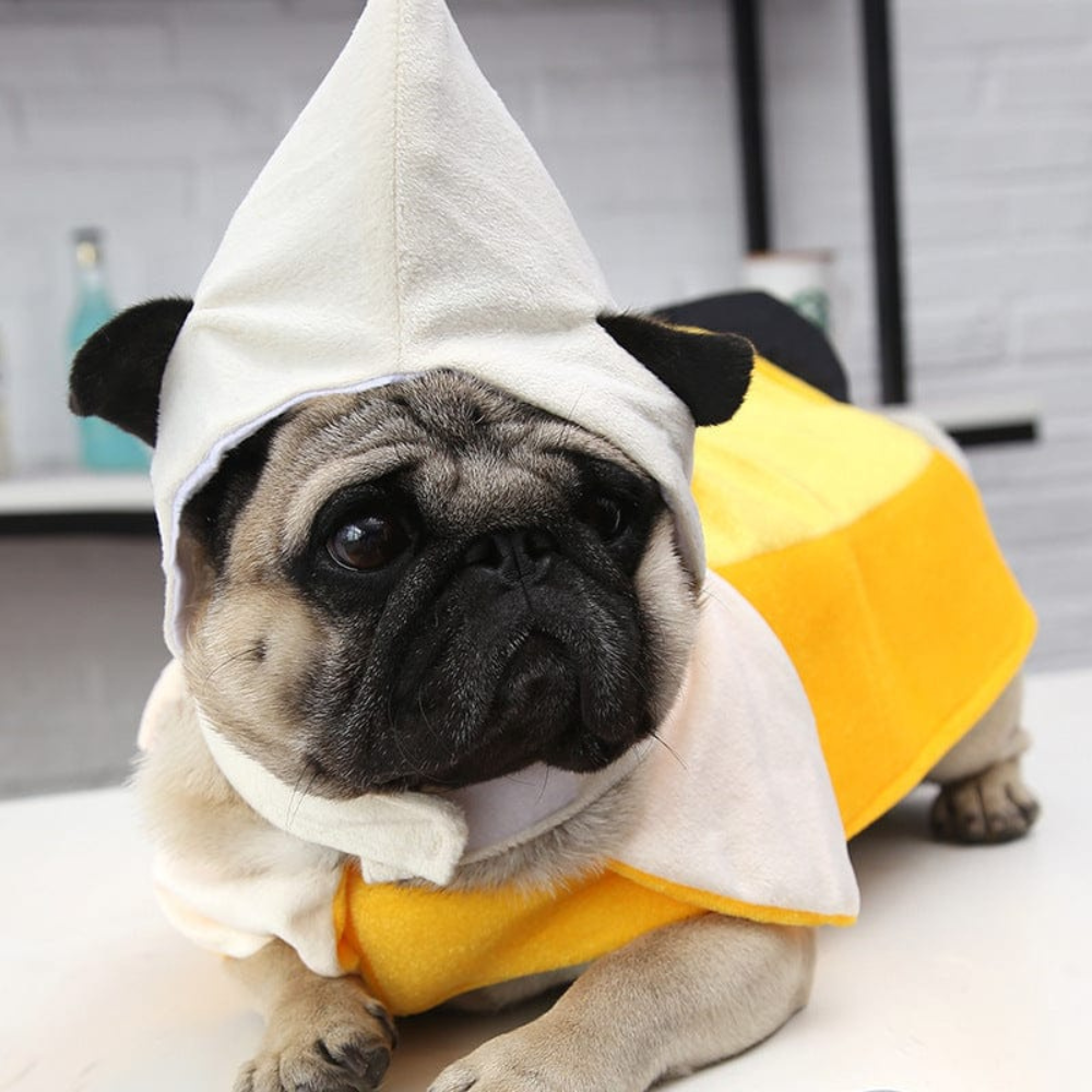 Banana Dog Costume