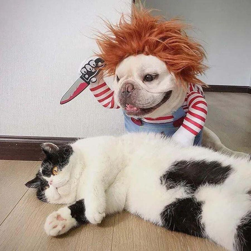 Chucky Dog Costume