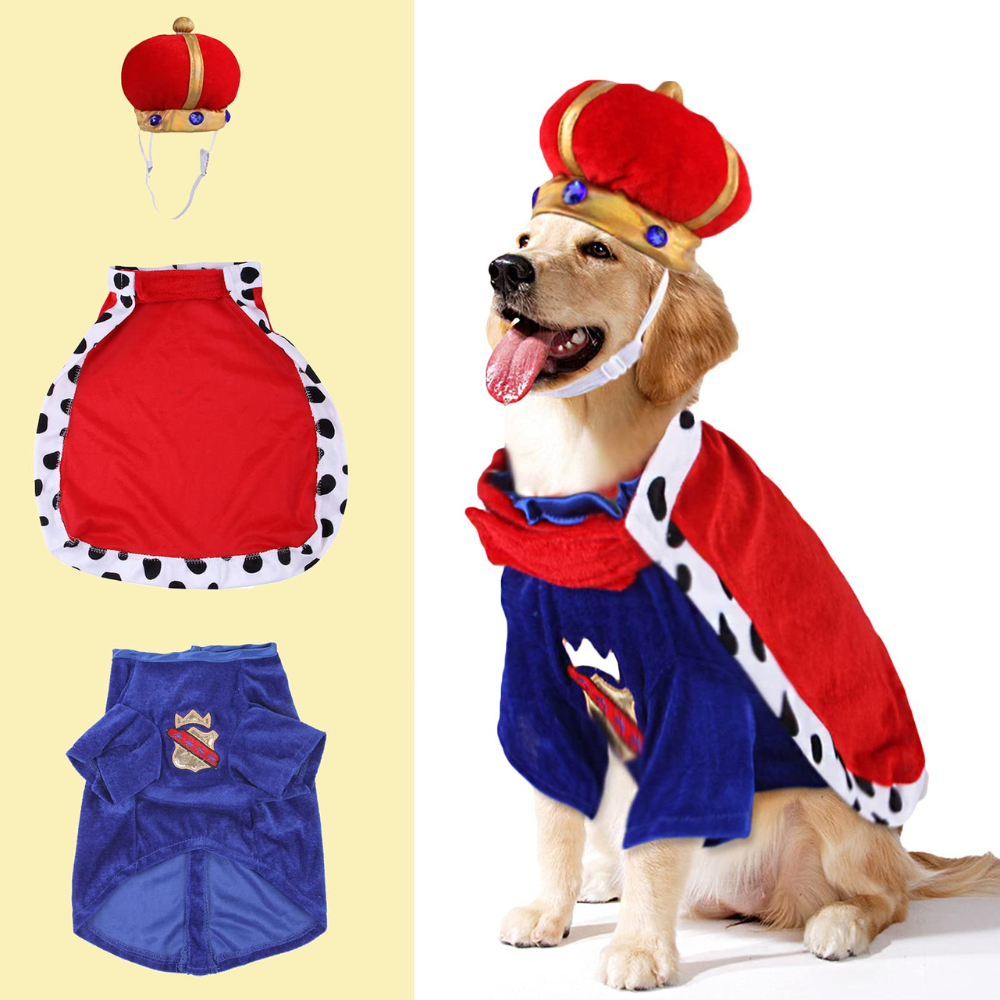 King Dog Costume