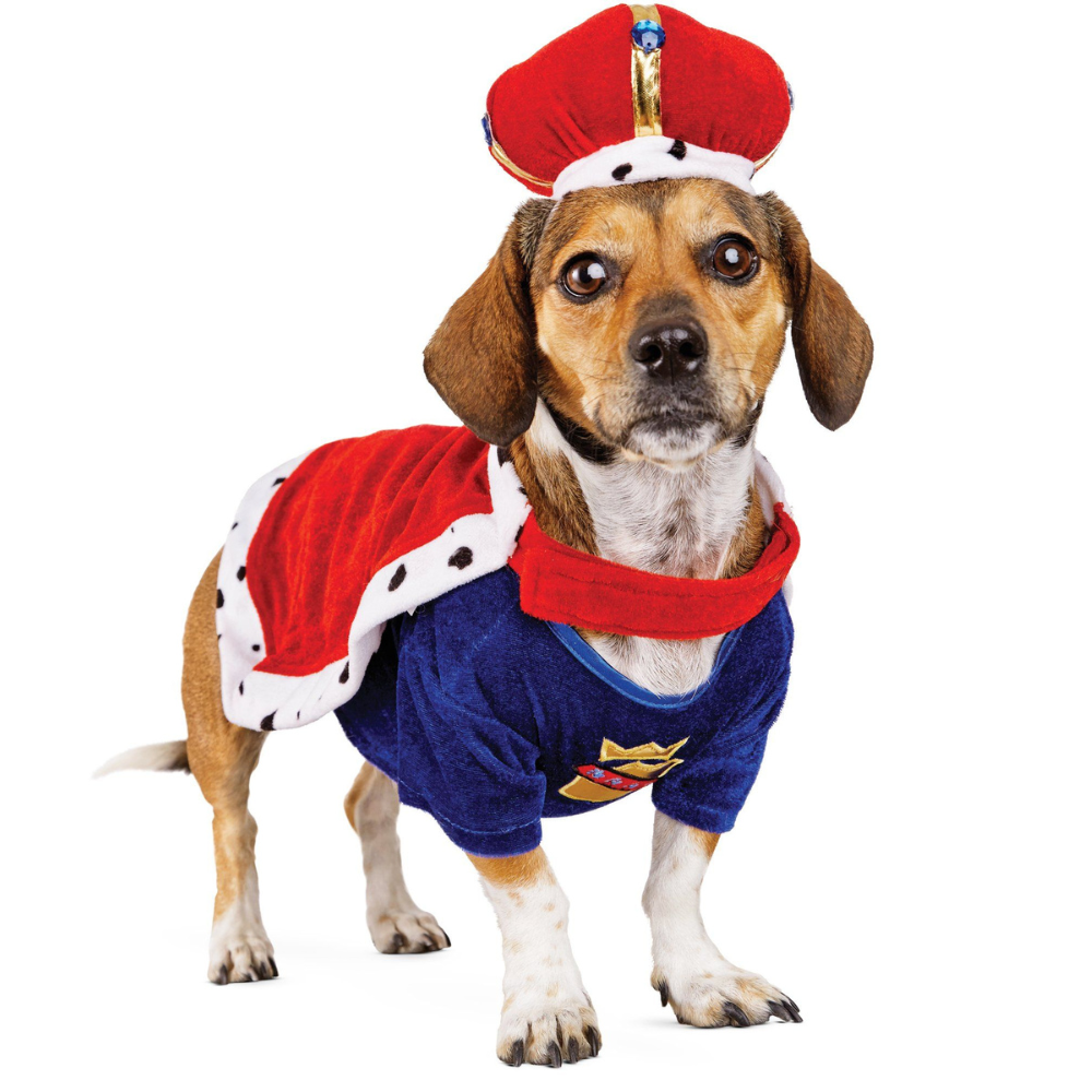 King Dog Costume