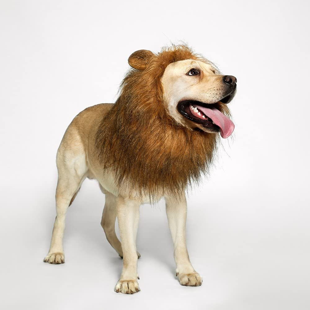 Lion's Mane Dog Costume