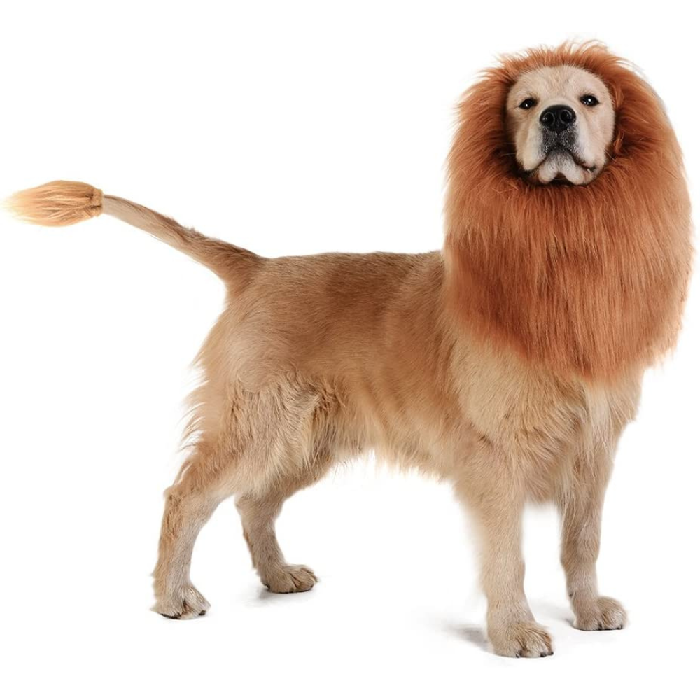 Lion's Mane Dog Costume