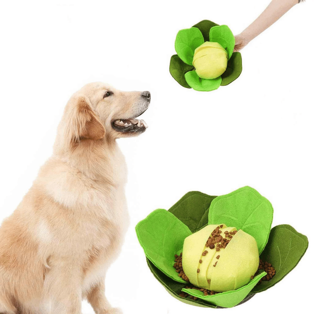 13in Leafy Cabbage Snuffle Mat