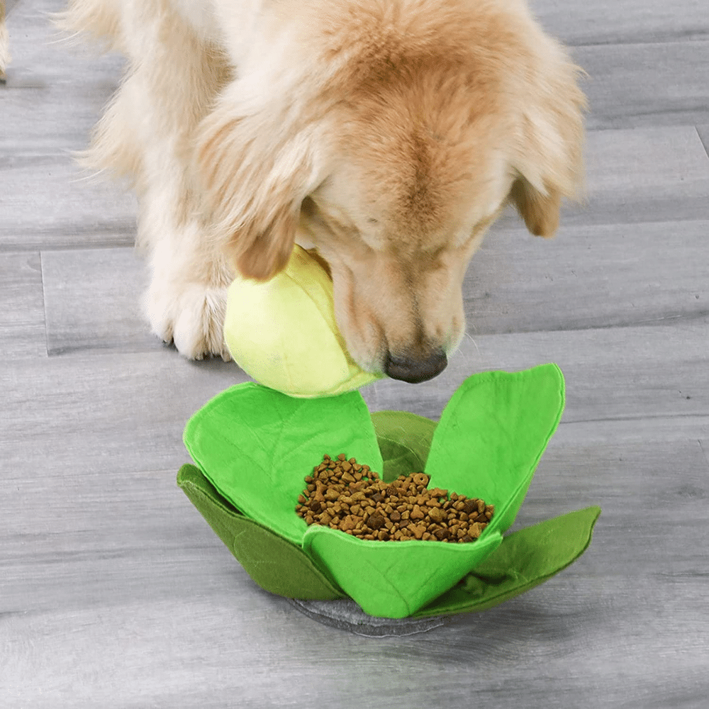 13in Leafy Cabbage Snuffle Mat