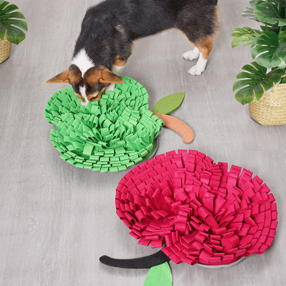 20in Apple Snuffle Mat