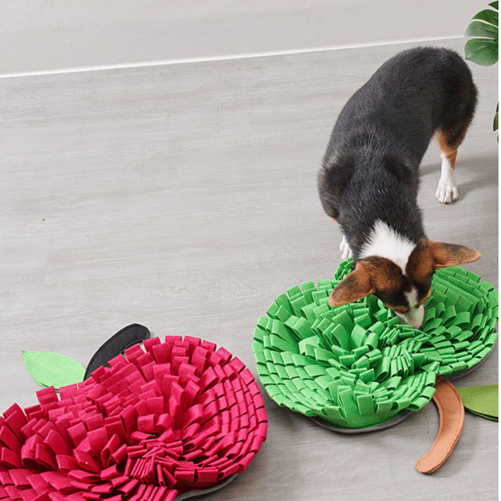 20in Apple Snuffle Mat