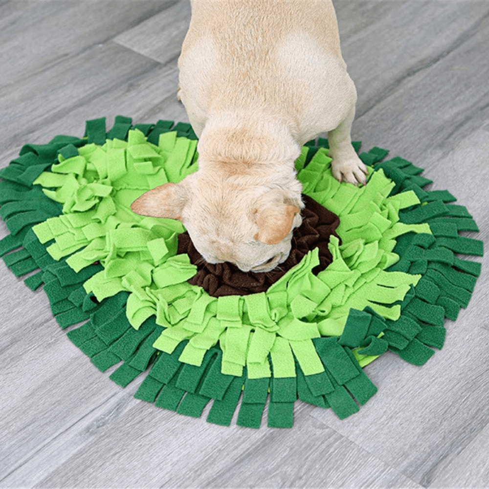 27in Avocado Snuffle Mat