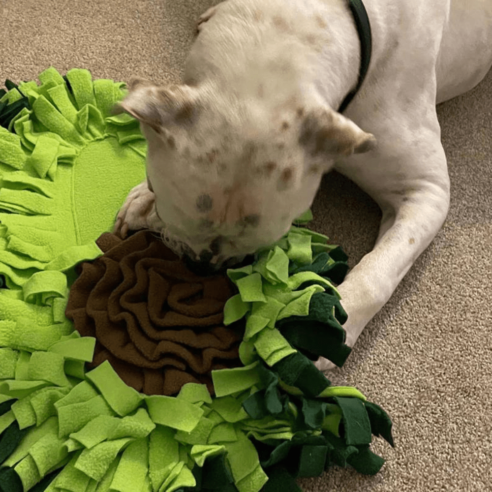 27in Avocado Snuffle Mat