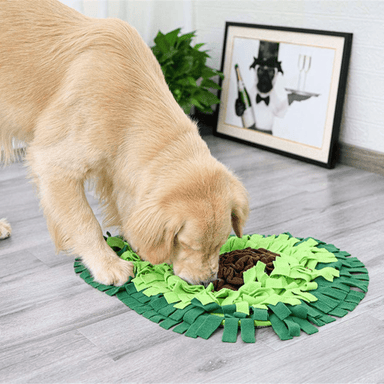 27in Avocado Snuffle Mat