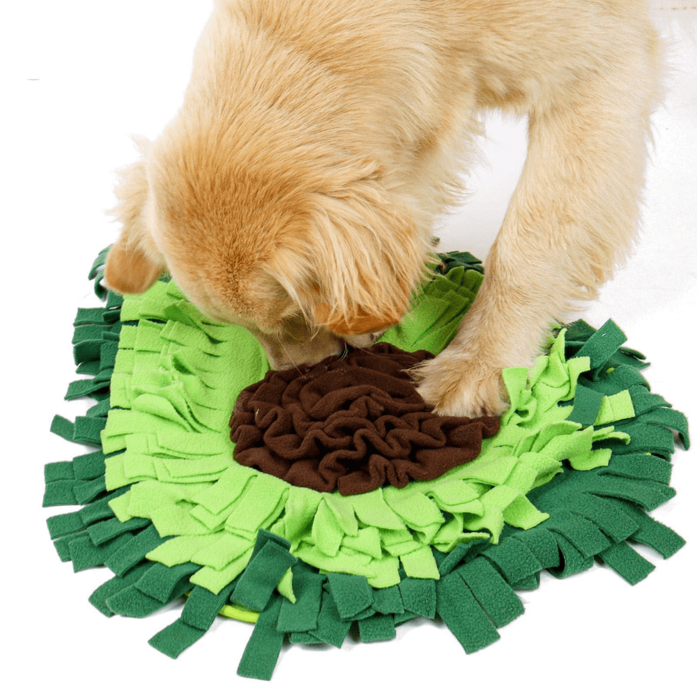 27in Avocado Snuffle Mat