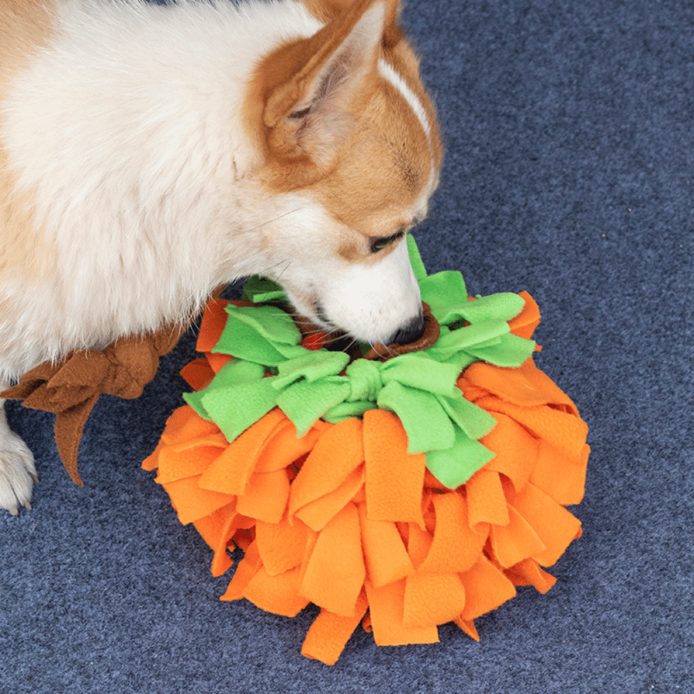 28in Pumpkin Snuffle Ball Toy