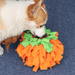 28in Pumpkin Snuffle Ball Toy