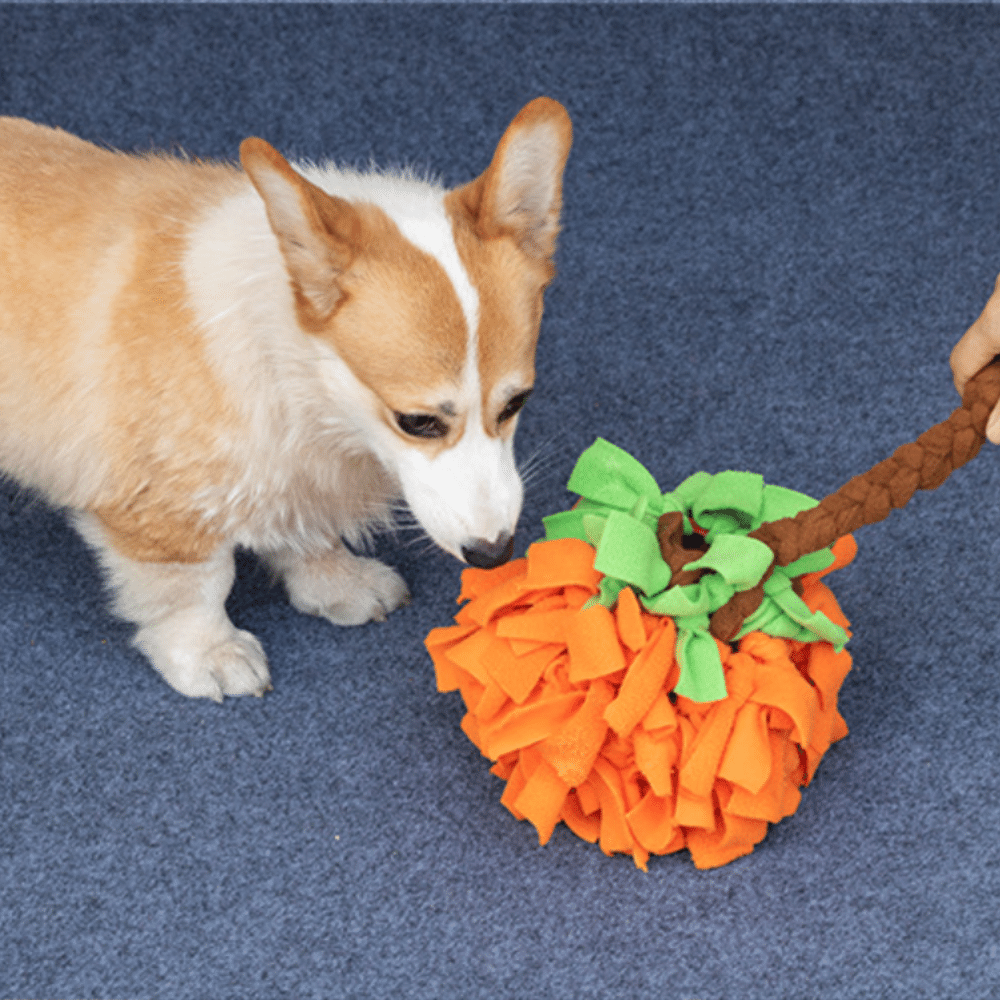 28in Pumpkin Snuffle Ball Toy