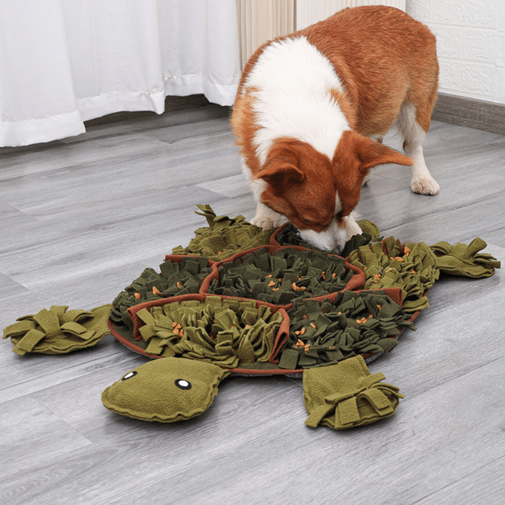 28in Tortoise Snuffle Mat