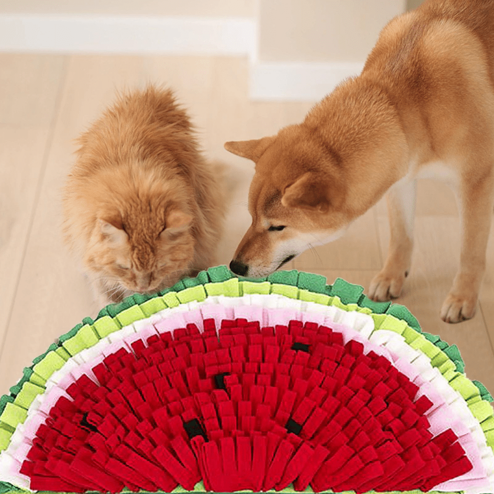 30in Watermelon Snuffle Mat