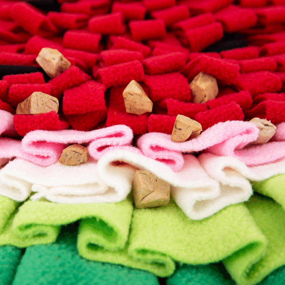 30in Watermelon Snuffle Mat