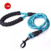 5ft Reflective Nylon Dog Rope Leash