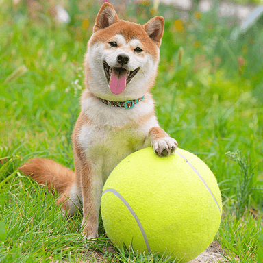 9.5in Giant Dog Tennis Ball