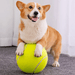 9.5in Giant Dog Tennis Ball