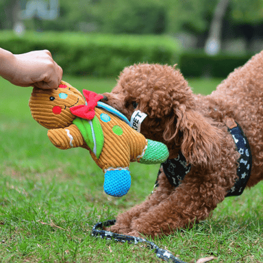 9in Plush Gingerbread Squeaky Dog Toy