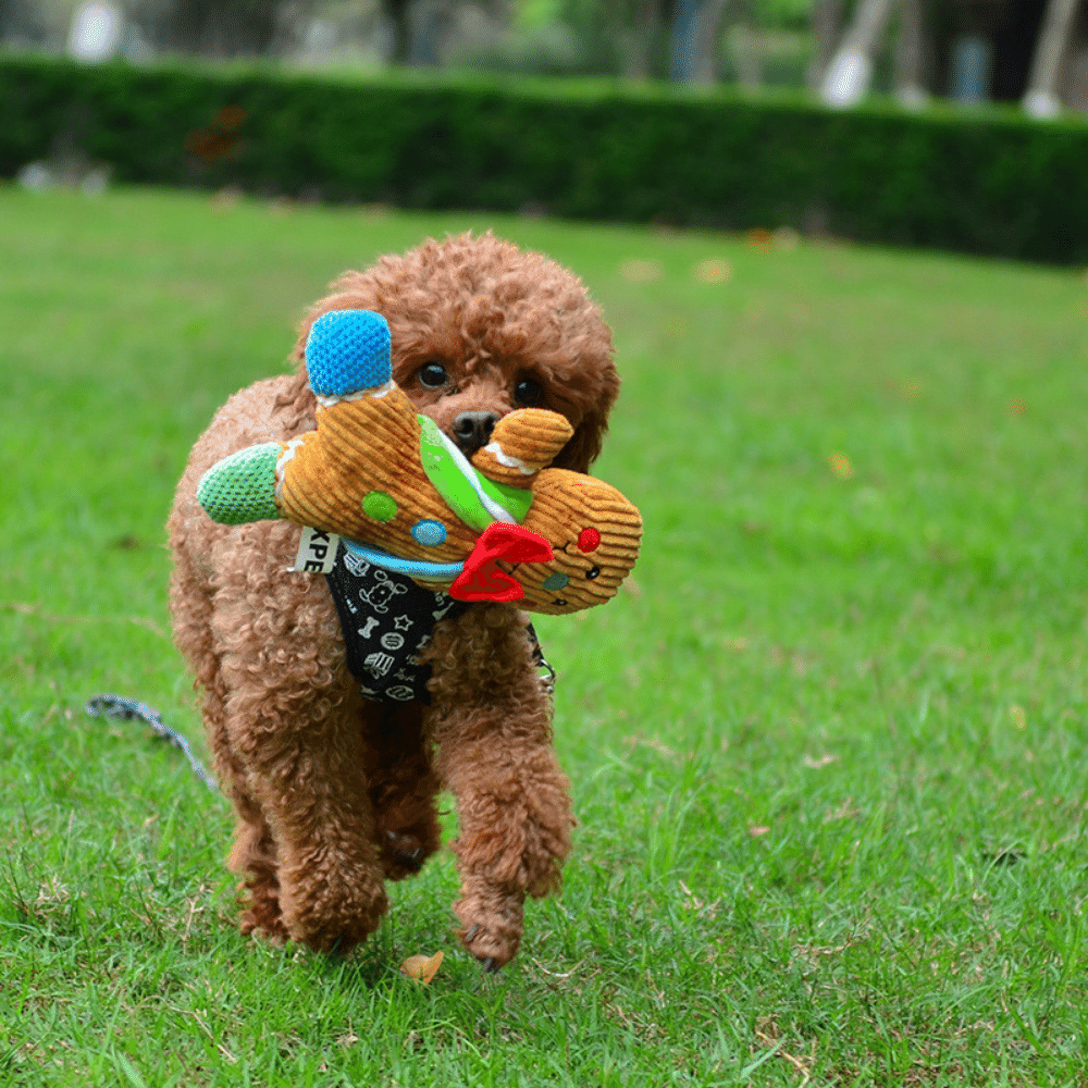 9in Plush Gingerbread Squeaky Dog Toy