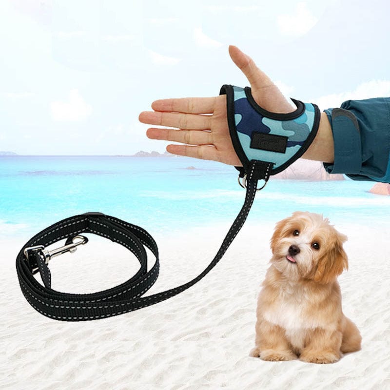 A pet on a harness