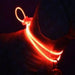 Adjustable LED Safety Strap Dog Necklace