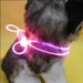 Adjustable LED Safety Strap Dog Necklace