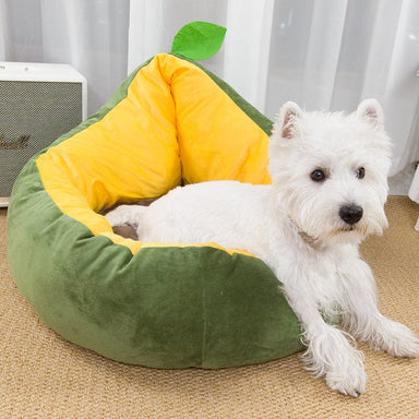 Avocado / S Avocado Shaped Dog Bed