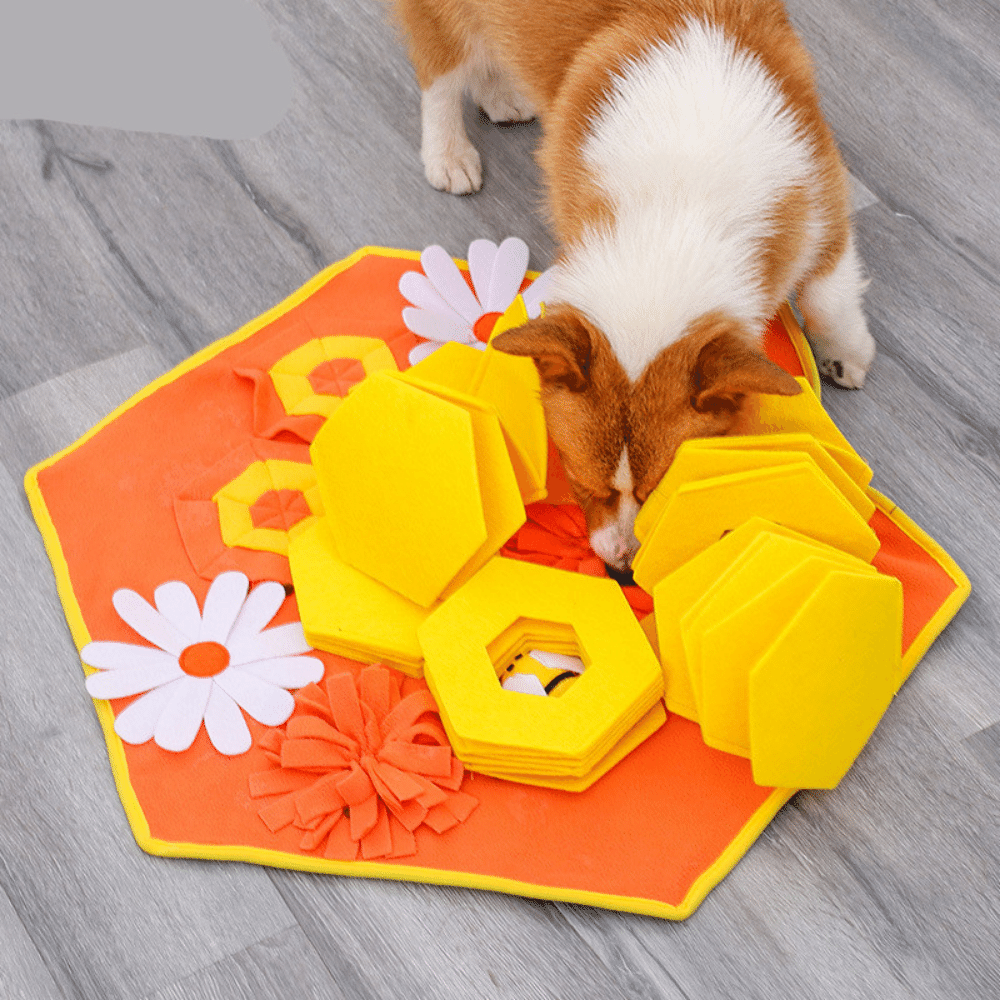 Bee Honeycomb Snuffle Mat